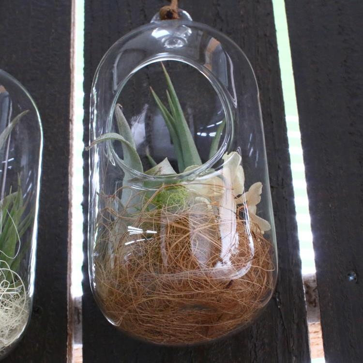 観葉植物 ロングドーム テラリウム ティランジア ガラス ケース インテリア 完成品 観葉植物 モダン アクアリウム おしゃれ 小さい リビング 開店祝い Kan Terrarium Lodo 花うるる ハンギング 寄せ植え通販 通販 Yahoo ショッピング