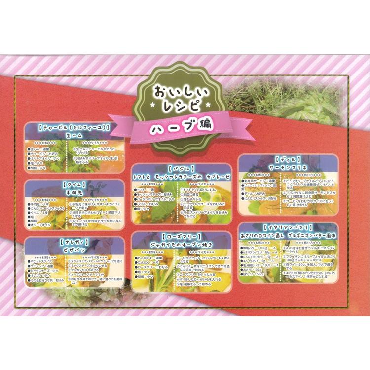 全８種類から選べる 人気の ハーブ栽培キット ４号鉢 栽培キット ハーブティー キッチンガーデン 寄せ植えなどに Nae Harv 4sn 花うるる ハンギング 寄せ植え通販 通販 Yahoo ショッピング
