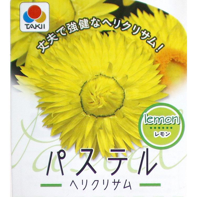 ヘリクリサム パステル6色 バラ売り9cmポット苗」鑑賞期2月〜12月 鮮やかな花色で開花期長く楽しめる 花 ガーデン DIY ガーデニング 鉢植え 花苗 :nae-helichrysum:花うるる(ハンギング寄せ植え通販 - 通販 - Yahoo!ショッピング ヘリクリサム パステル6色 バラ売り9cmポット苗」鑑賞期2月〜12月 鮮やかな花色で開花期長く楽しめる 花 ガーデン DIY ガーデニング 鉢植え 花苗 :nae-helichrysum:花うるる(ハンギング寄せ植え通販 - 通販 - Yahoo!ショッピング