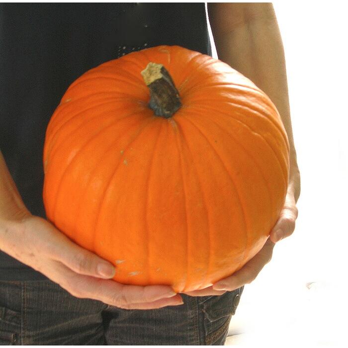 みかんその1】ハロウィンかぼちゃ 本物 ハロウィンかぼちゃ装飾体験