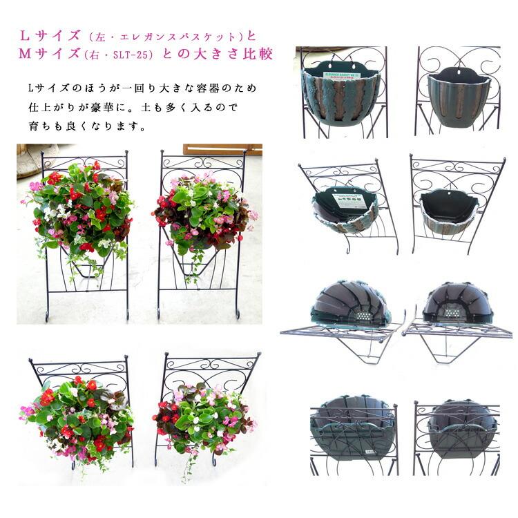 【みはるん】ペチュニアハンギング・ジニア寄せ植え　2点セット 楽天市場】＼楽天スーパーSALE／ペチュニアのハンギング 寄せ