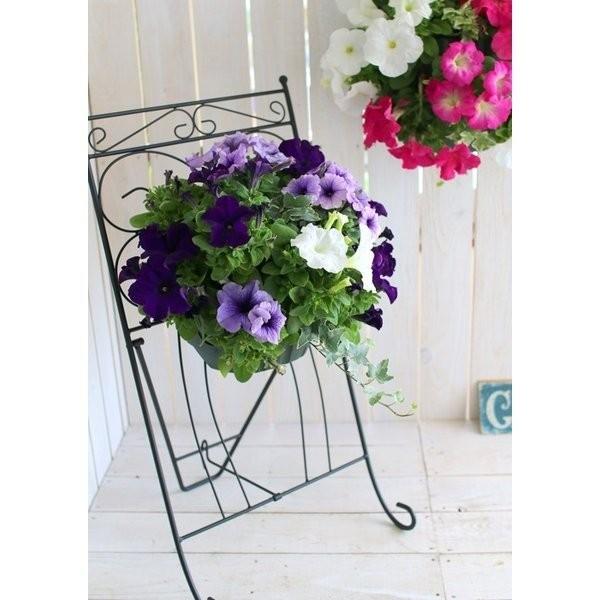 ペチュニアのハンギング寄せ植え エレガンスブルー シンプル 寄せ植え セット ギフト 花 寄植え 鉢植え 壁掛け ハンギング 春 夏 通販 Peyu Ereburu 花うるる ハンギング 寄せ植え通販 通販 Yahoo ショッピング