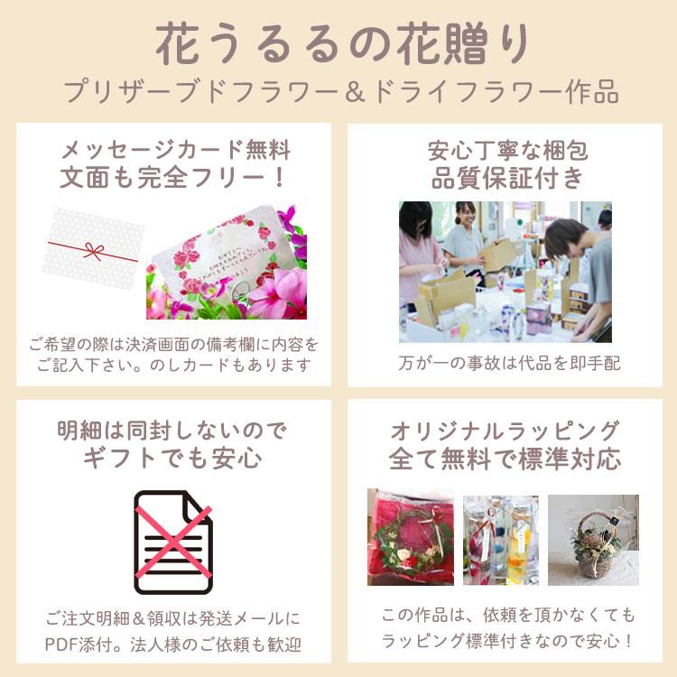 ＼即日発送OK／プレゼント 玄関 プリザーブドフラワー アジサイのリース [アンティークグリーン] (a23 花 フラワー 誕生日 フラワーギフト