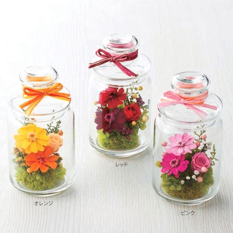 プリザーブドフラワー ピアンタボトル かわいい フラワーアレンジメント ギフト プレゼント 送料無料 内祝 内祝い Puriza Map 1903bottle 花うるる ハンギング 寄せ植え通販 通販 Yahoo ショッピング