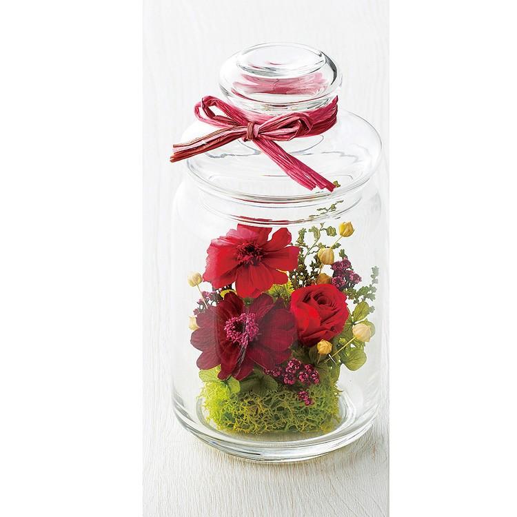 プリザーブドフラワー ピアンタボトル かわいい フラワーアレンジメント ギフト プレゼント 送料無料 内祝 内祝い Puriza Map 1903bottle 花うるる ハンギング 寄せ植え通販 通販 Yahoo ショッピング