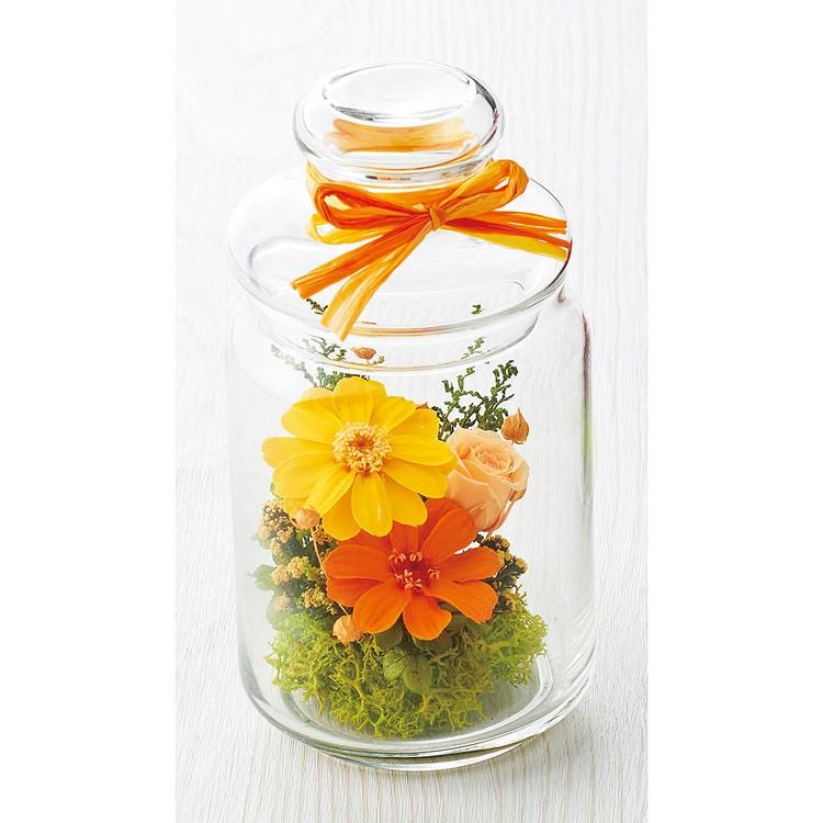 プリザーブドフラワー ピアンタボトル かわいい フラワーアレンジメント ギフト プレゼント 送料無料 内祝 内祝い Puriza Map 1903bottle 花うるる ハンギング 寄せ植え通販 通販 Yahoo ショッピング