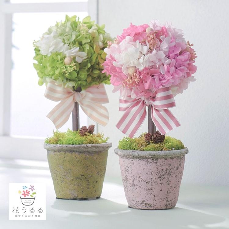プリザーブドフラワー オルテトピアリー トピアリー かわいい フラワーアレンジメント ギフト プレゼント 送料無料 内祝 内祝い Puriza Map 19 花うるる ハンギング 寄せ植え通販 通販 Yahoo ショッピング