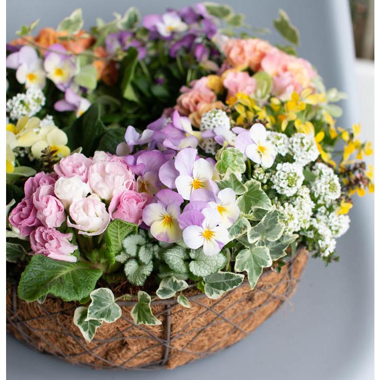 送料無料』豪華リース型 寄せ植え 花うるるアレンジ「春色パステル