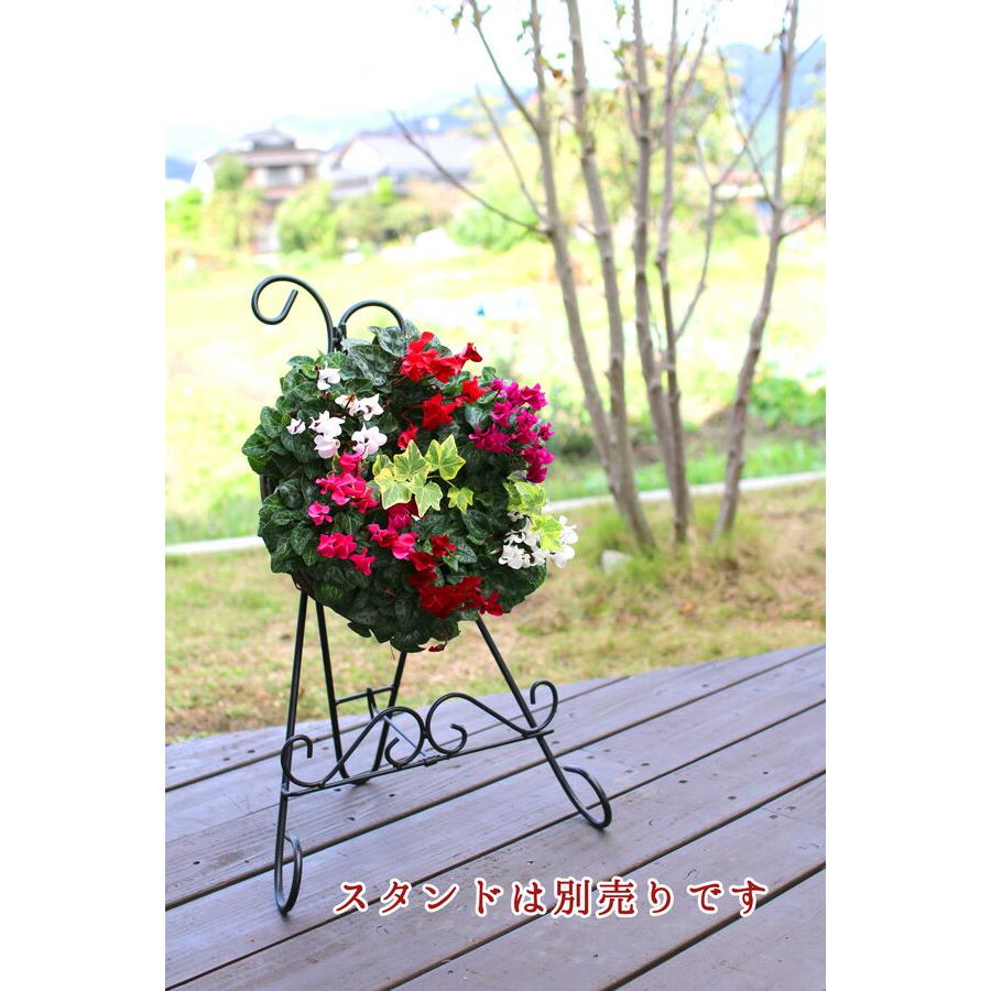 リース 寄せ植え『ガーデンシクラメンのハンギング*リング』(花うるる