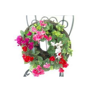 ガーデンシクラメンのハンギング リング 花うるるロングセラーの人気リース型寄せ植え 冬 春までの寄せ植え ギフト 通販 楽天寄せ植えランキング１位 Sikuring 花うるる ハンギング 寄せ植え通販 通販 Yahoo ショッピング