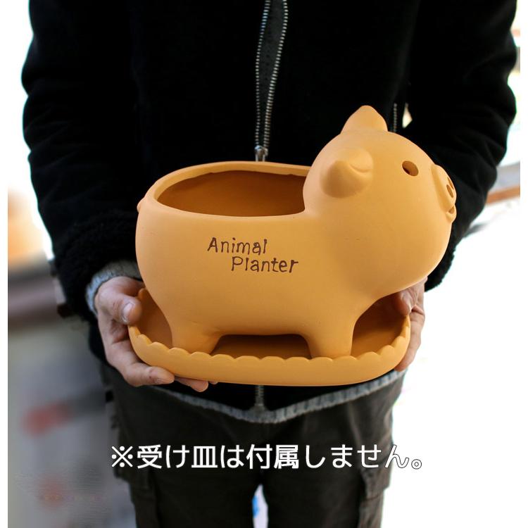 ともみっくす商品 もろぶた８枚✨昭和レトロ　DIYやガーデニングにも⁈ ぶた レトロ アンティーク風 昭和レトロ 置物 ブタ 豚 フルーツ
