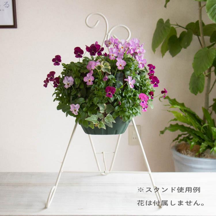 すすきフラワースタンドセット フラワースタンド ハンギング 専用『トレスシンプル』同梱OK