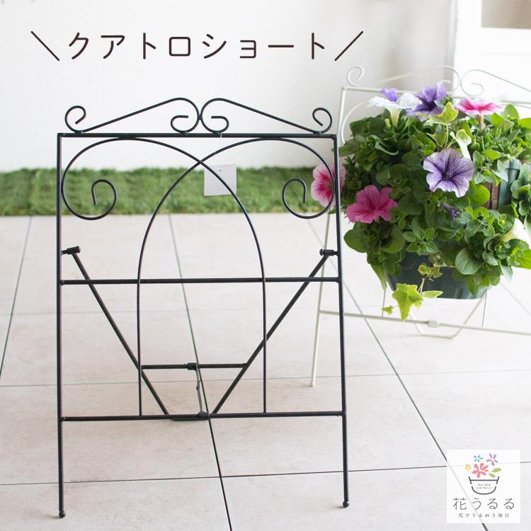 ＼ショートサイズ／フラワースタンド ハンギング 専用『クアトロショート』同梱OK 屋外 ハンギングバスケット 寄せ植え アイアン ガーデニング雑貨 玄関（Yahoo!・花うるる(ハンギング&寄せ植え通販）