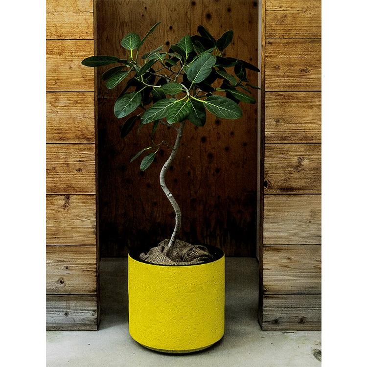 ドゥーパー F33eb Do3330 Dooper おしゃれ 大型 鉢 植木鉢 ガーデニング ポット プランター Frp Siz Eb Do3330 花うるる ハンギング 寄せ植え通販 通販 Yahoo ショッピング