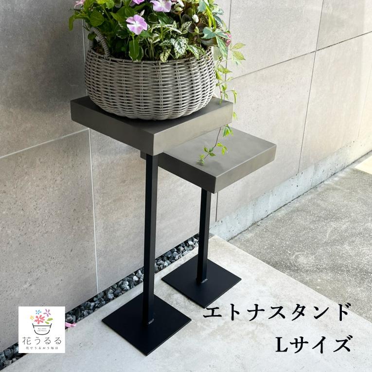 重厚なフラワースタンド [エトナスタンド70 (Lサイズ)] ミュールミル