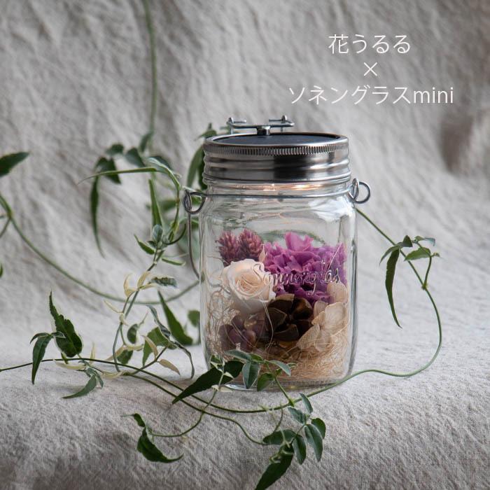 ソネングラスmini×花うるる『e』(正規代理店)(保証書付 新