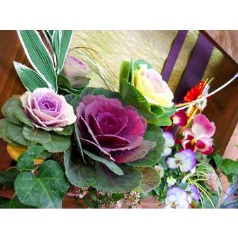 お正月飾りに/額縁フレームのお正月アレンジ寄せ植え「花鳥風月 お正月飾りに/額縁フレームのお正月アレンジ寄せ植え「花鳥風月