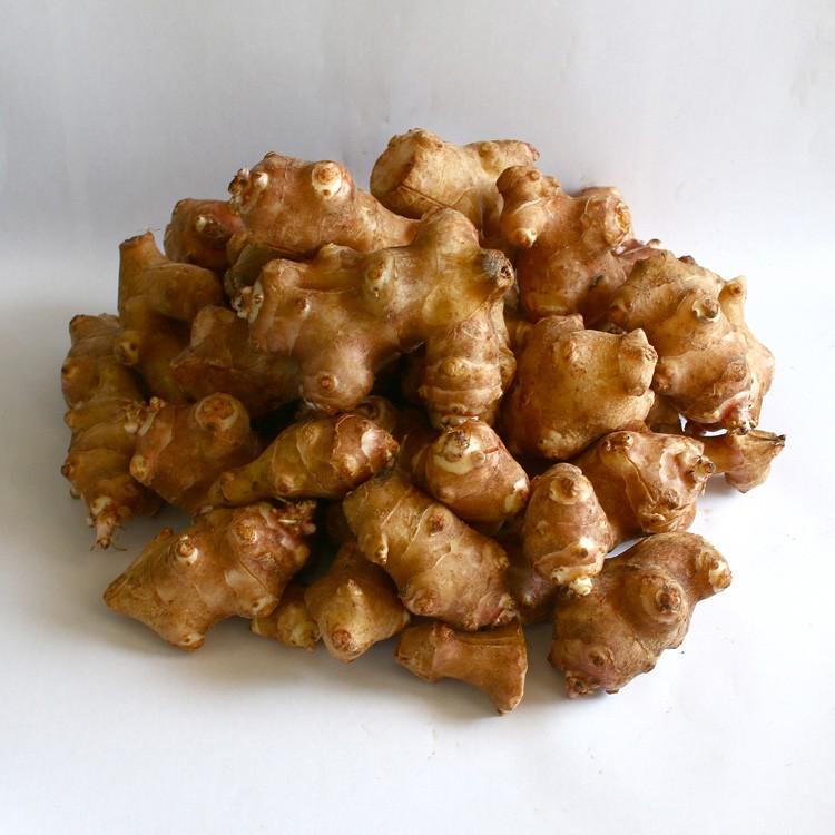 春植え 種イモ 赤 菊芋 1kg 熊本県産 イヌリン ポリフェノール 成分 種芋 種 きくいも 種いも 苗 イモ 家庭菜園 苗 春植え Tane Akakikuimo 花うるる ハンギング 寄せ植え通販 通販 Yahoo ショッピング