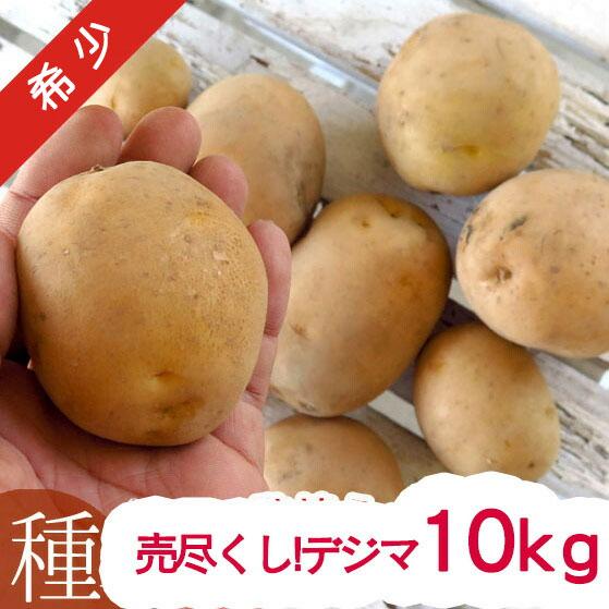 うみぼうず様専用)ハスイモ 種芋 10Kg 【公式通販】