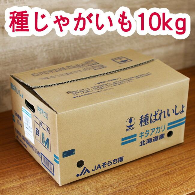 即日発送中＼最終処分 売りつくし／ じゃがいも 種イモ「デジマ 10kg