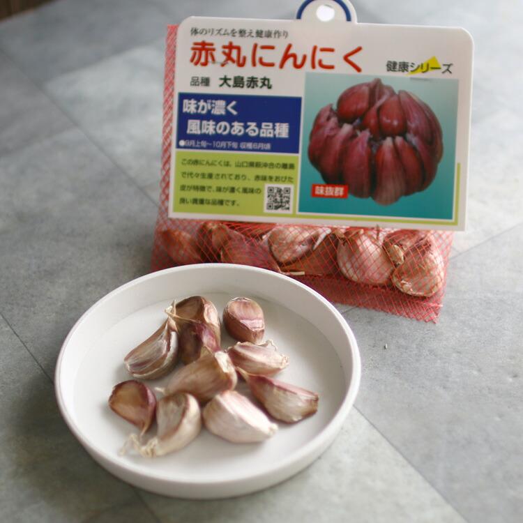 赤丸ニンニク (山口県産）種子 10リン片」国産 にんにく 種 ニンニク