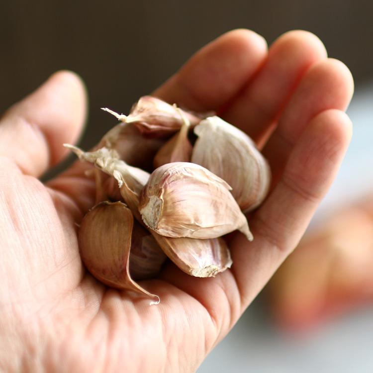赤丸ニンニク 山口県産 種子 10リン片 国産 にんにく ニンニク 種子 種 苗 家庭菜園 苗 Tane Ninniku 花うるる ハンギング 寄せ植え通販 通販 Yahoo ショッピング