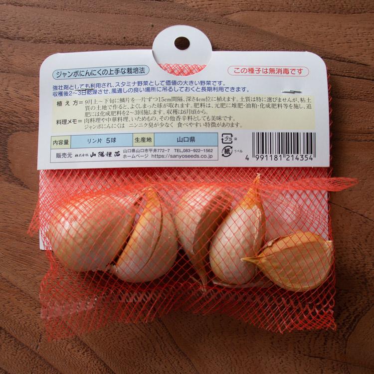 1片でこの大きさ「 早生 ジャンボニンニク 種 (国産) 5片 無消毒