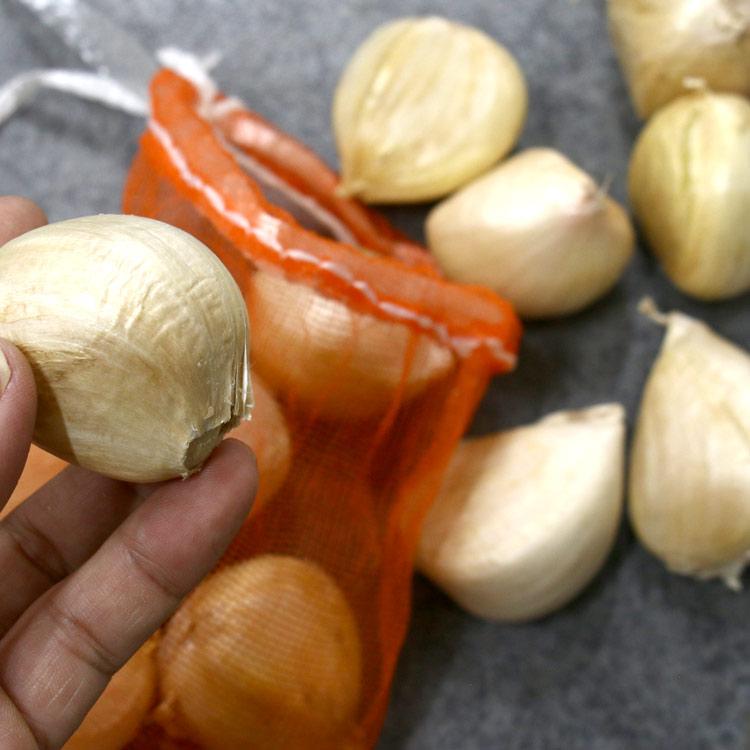 1片でこの大きさ「 早生 ジャンボニンニク 種 (山口県産)1kg 無消毒