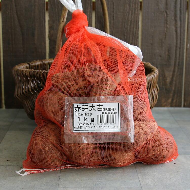 春植え 種芋「 里芋 赤芽大吉 1kg (熊本県産)」 種芋 サトイモ
