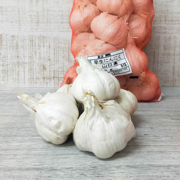 早生 ニンニク 種 (山口県産）1kg」国産 にんにく カテイ 種子 苗 家庭
