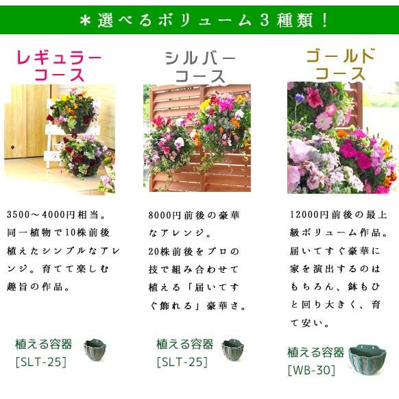 ハンギングバスケット定期便 ゴールド 12ヶ月コース サブスク 寄せ植え 春 セット ギフト 花 フラワー 玄関 おうち時間 プレゼント Teikibin G12 花うるる ハンギング 寄せ植え通販 通販 Yahoo ショッピング