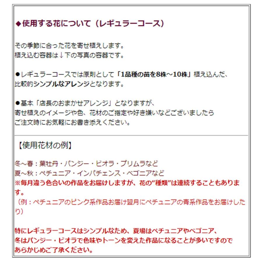 ハンギングバスケット定期便 レギュラー 12ヶ月コース サブスク 寄せ植え 春 セット ギフト 花 フラワー 玄関 おうち時間 プレゼント Teikibin R12 花うるる ハンギング 寄せ植え通販 通販 Yahoo ショッピング