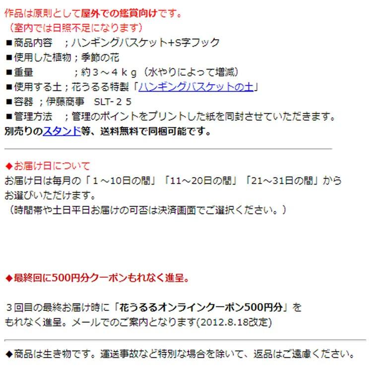 独創的 お試し3回コース ハンギングバスケット定期便 レギュラー ３回コース 3ヶ月 半年間 サブスク 寄せ植え 春 ギフト 花 フラワー 玄関 おうち時間 全国組立設置無料 Atempletonphoto Com