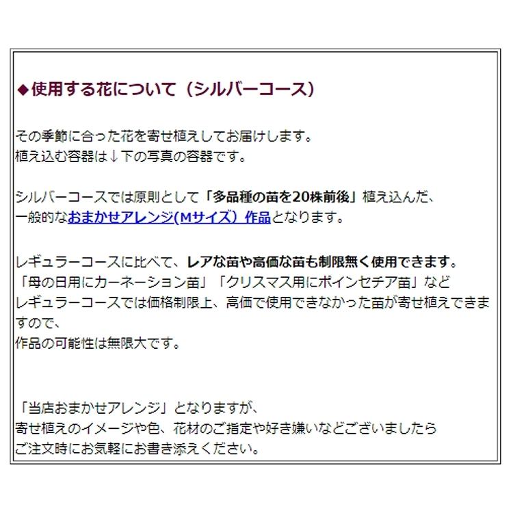 他社比較 ビッグローブ光の評判は 他とは違うメリット デメリット くらべてネット