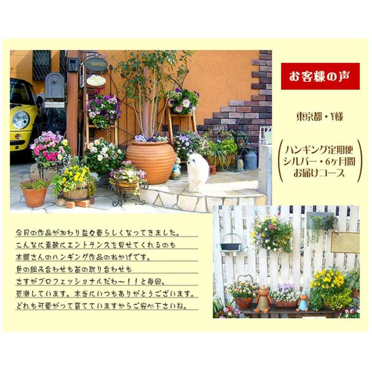花うるる ハンギング 寄せ植え 定期便』シルバーコース6回(半年-1年