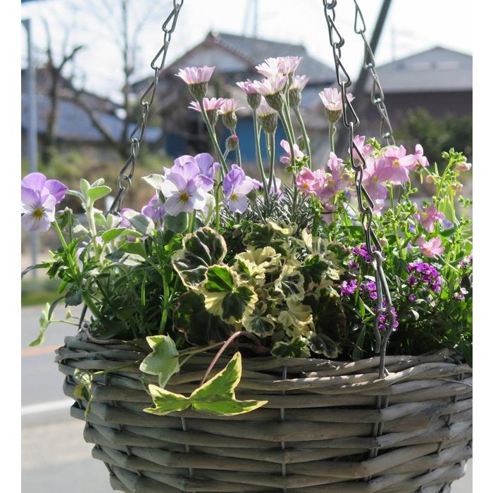 flower（ファッション） 送料無料 限定5個 「春の風を運ぶ花たっぷり