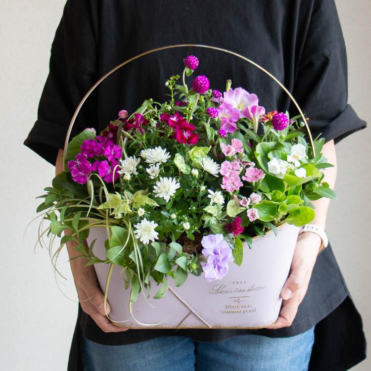 花うるる おまかせ／「季節の寄せ植えin ブリキ プランター (クリッス