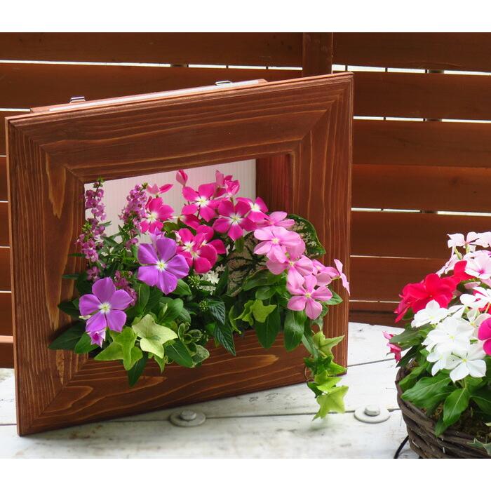 flower 『※フレーム・ボード別売』入れ替え交換用の寄せ植え『送料無料