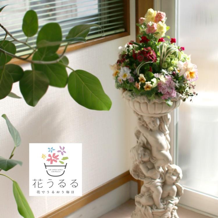 偉大な 1点限り ギリシャ彫刻のような高級寄せ植え エンジェルガーデン Spring 多木有機液肥 3ヶ月分おまけつき ギャザリング 寄せ植え 高級住宅 クリニック Yose Gyz Enjer Spring17 花うるる ハンギング 寄せ植え通販 通販 Yahoo ショッピング 安心の