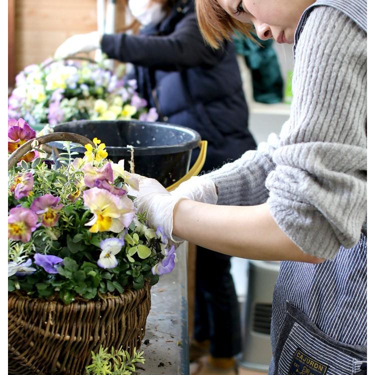 オーダー可能 送料無料 花うるるアレンジ かご型ギャザリング寄せ植え ｌサイズ 人気液肥６週間分おまけ付きギャザリング 寄せ植え 花 ガーデニング Yose Gyz Kago L 花うるる ハンギング 寄せ植え通販 通販 Yahoo ショッピング
