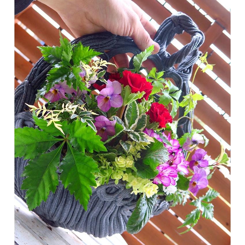 Aha ［B］綱木紋スタンド付花器 中 新 綱木紋（つなきもん）鉢【かえで】(ギャザリング 寄せ植え 寄植え
