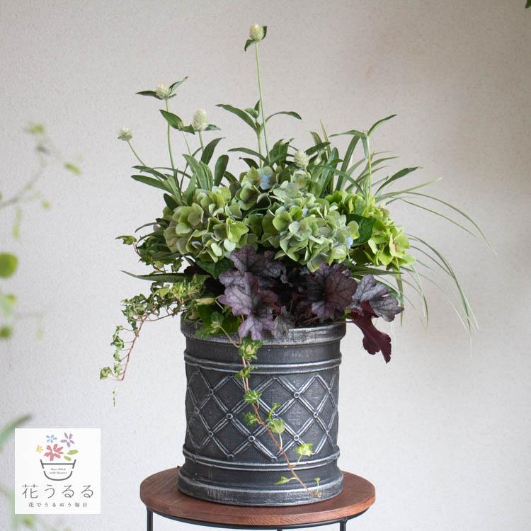 期間&数量限定／鬼木氏の秋色アジサイ使用 花うるる寄せ植えアレンジ