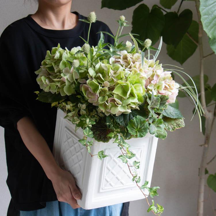 期間&数量限定／鬼木氏の秋色アジサイ使用 花うるる寄せ植えアレンジ