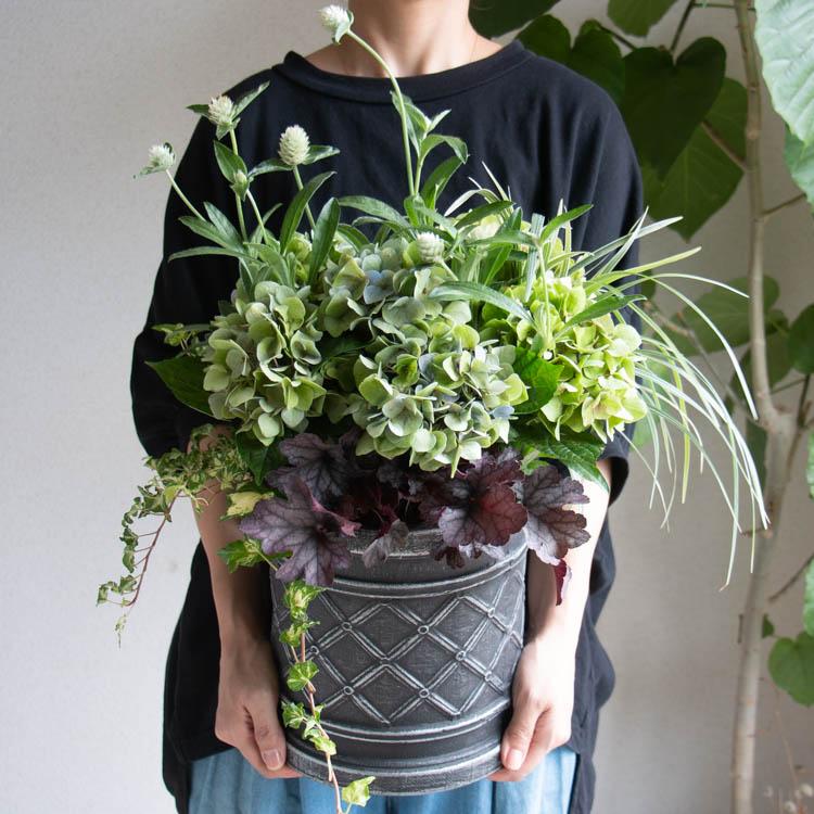 期間&数量限定／鬼木氏の秋色アジサイ使用 花うるる寄せ植えアレンジ