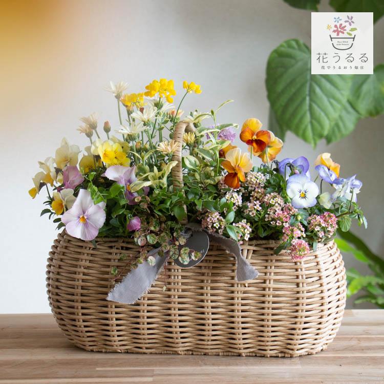 花うるるアレンジ寄せ植え「ジェミニバスケット レク」おまかせ