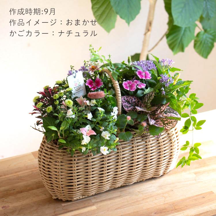 花柄紙製バスケットセット 7品 花柄紙製バスケットセット 7品 花柄紙製バスケットセット 7品 ブランド