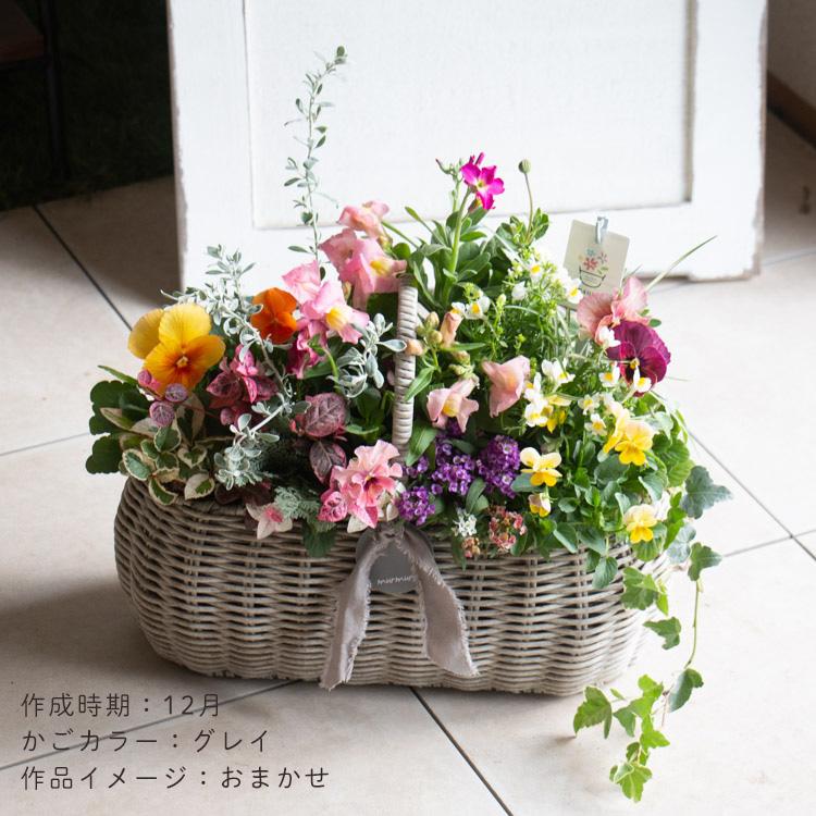 花うるる おまかせ／「季節の寄せ植えinジェミニバスケット レク」完成