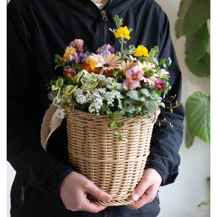 花うるる おまかせ／「季節の寄せ植えinジェミニバスケット シリンダ