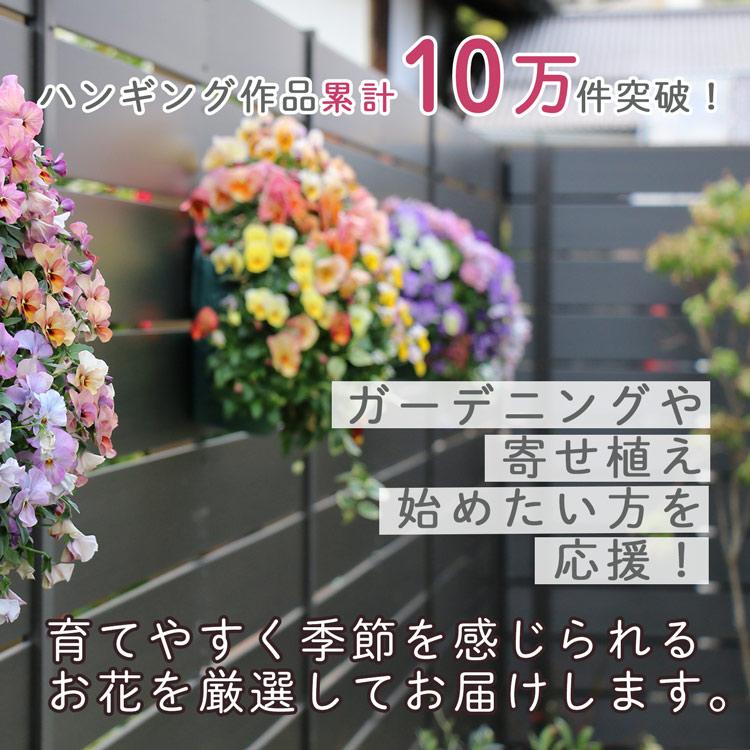 花うるるアレンジ寄せ植え「ジェミニバスケット シリンダ」おまかせ オーダーメイド かご 花 ガーデニング 春 玄関 フラワーギフト 誕生日 プレゼント｜hanaururu｜10