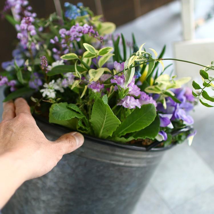 春の寄せ植え 花うるるアレンジ メタルポット 寄せ植え Mサイズ 寄植え ブリキ メタル ハンギング 花束 ギフト プレゼント Yose Metalpot M 花うるる ハンギング 寄せ植え通販 通販 Yahoo ショッピング